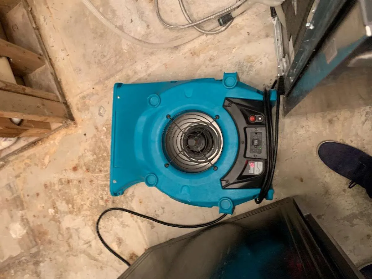 Air mover drying equipment for Mold Remediation & Removal in Rancho Calaveras
